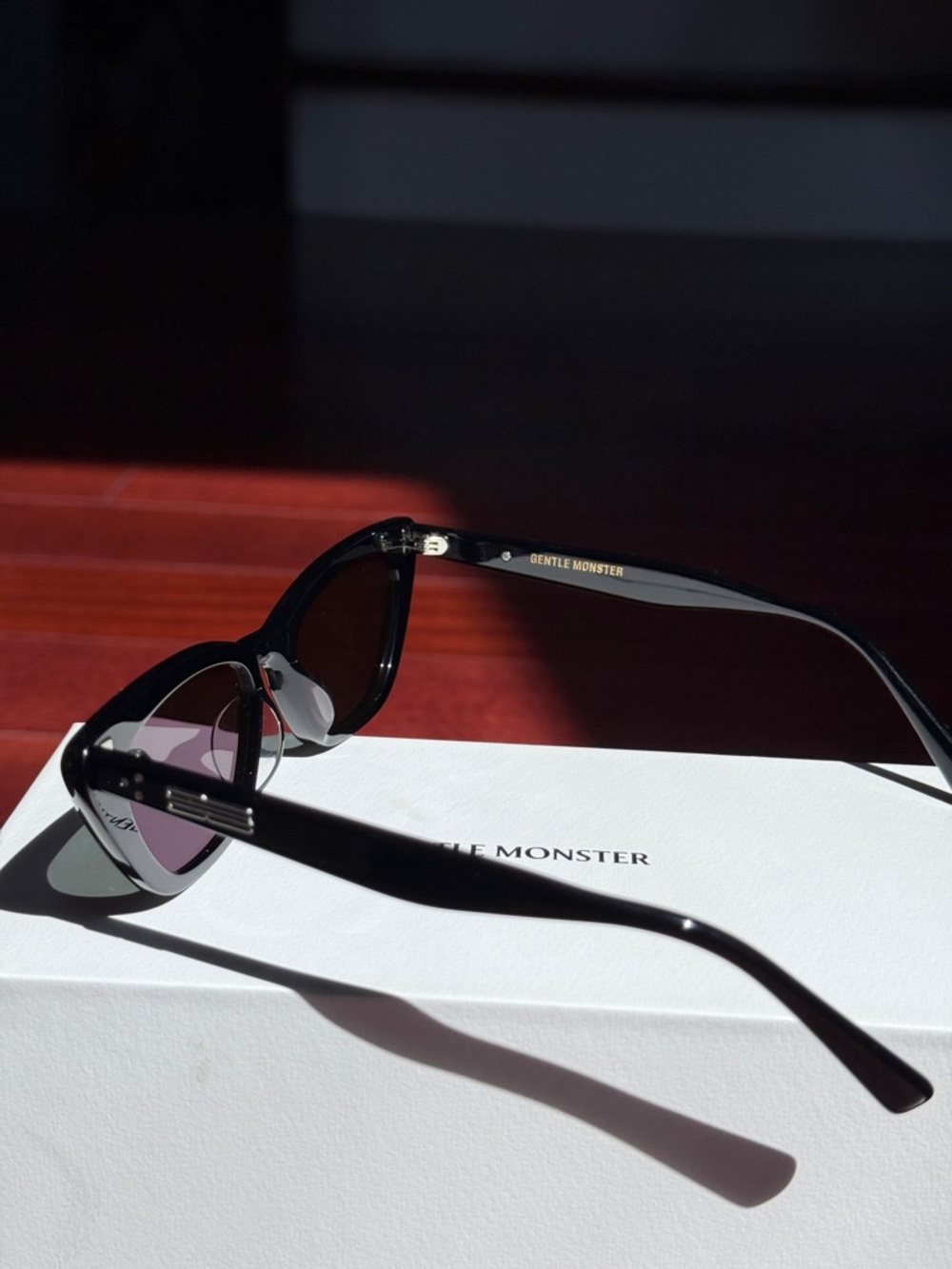 Gentle Monster Black Terra Cotta Sunglasses - Picture 5 of 10
